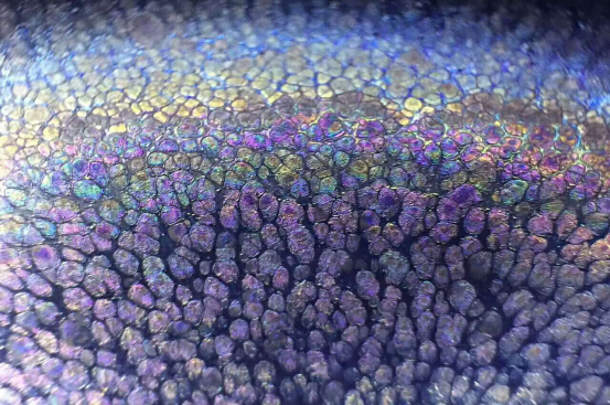 \