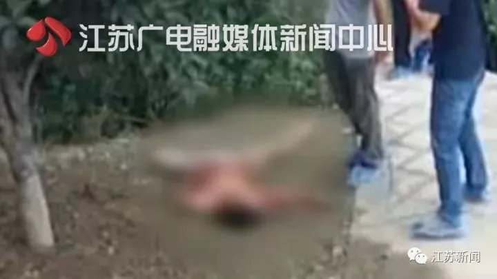 Լ˾賿ӵʧ Ȧϳʬ