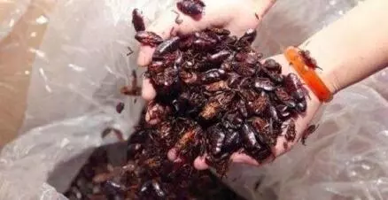Ů賿ӵ绰Ͳ޺ ·